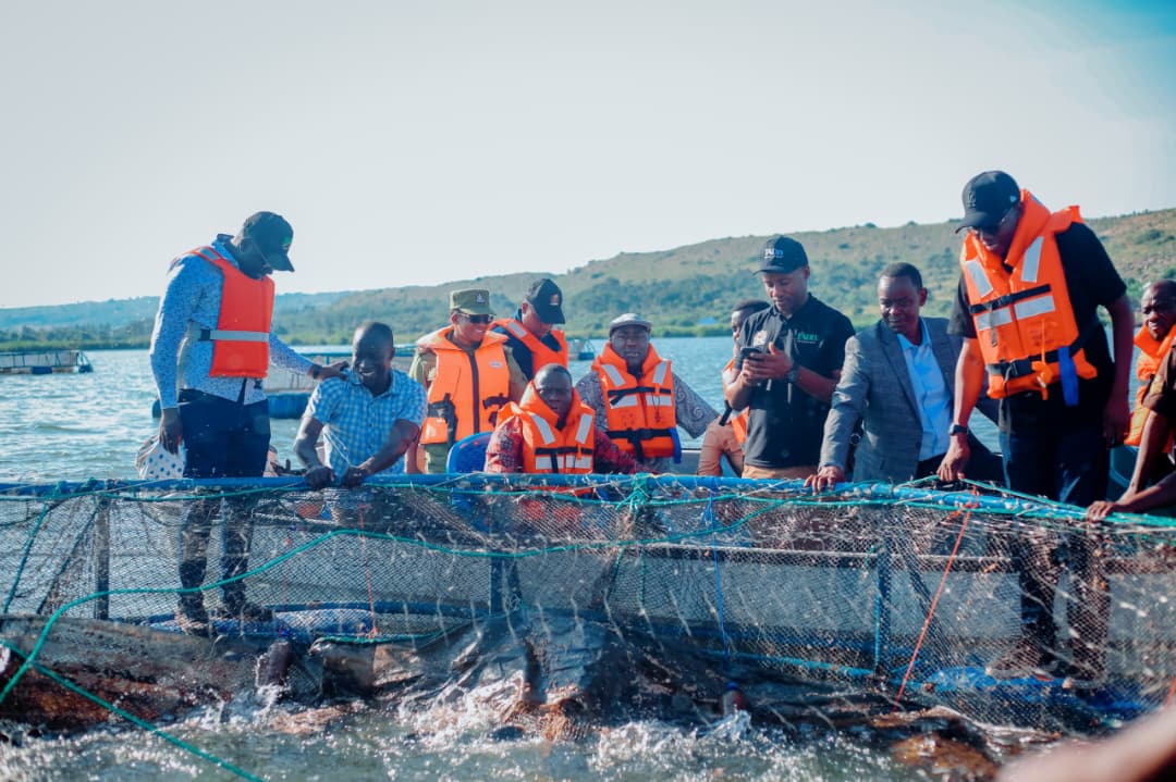 Fish farming